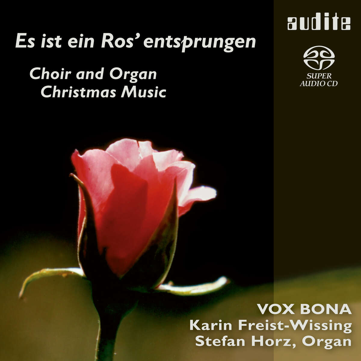 Es ist ein Ros’ entsprungen – Choir and Organ Christmas Music