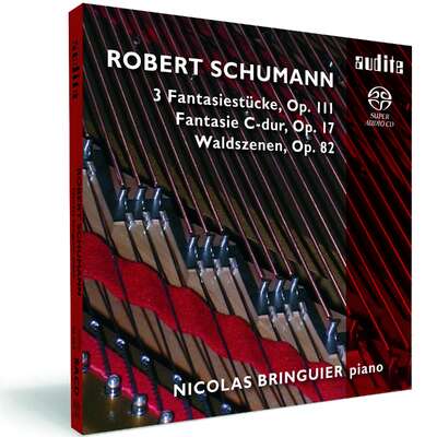 Robert Schumann: Fantasie C-Dur, Waldszenen, 3 Fantasiestücke