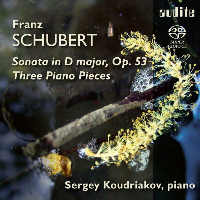 Cover: Franz Schubert: Piano Sonata D 850 & Three Piano Pieces D 946