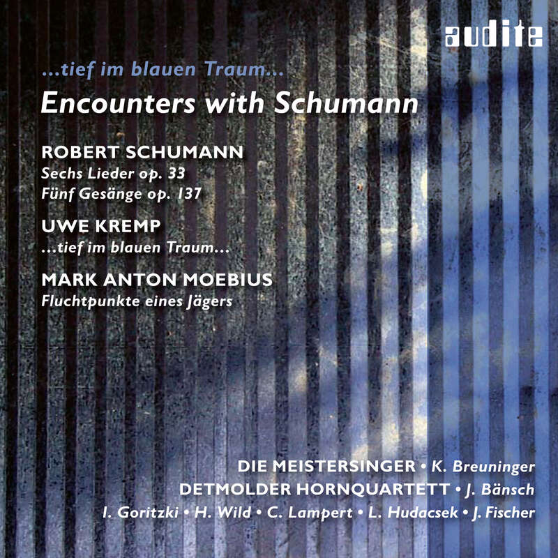Cover: Encounters with Schumann - ...tief im blauen Traum...