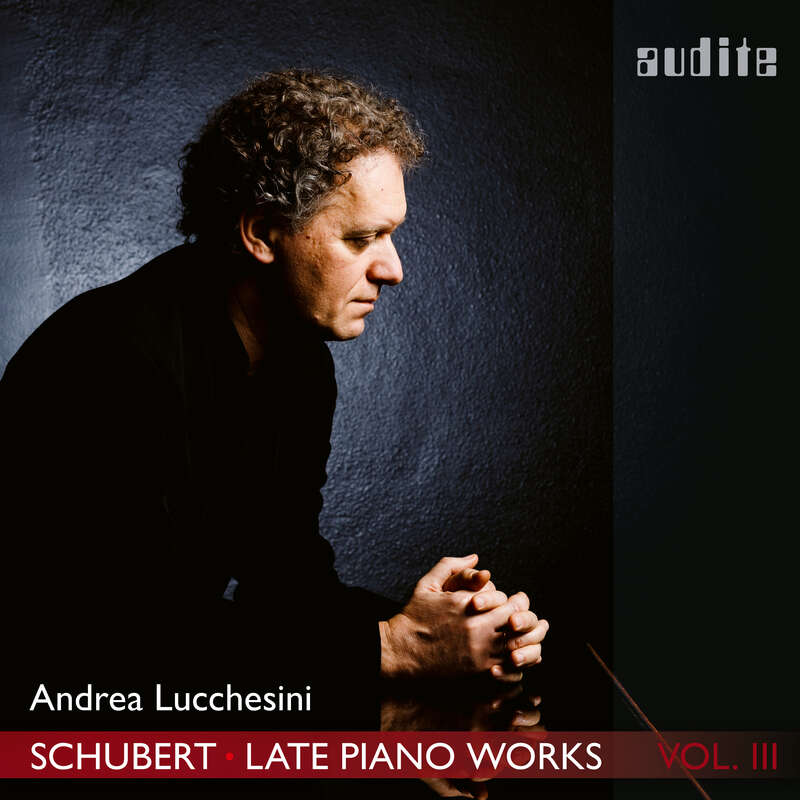 Cover: Franz Schubert: Late Piano Works, Vol. 3